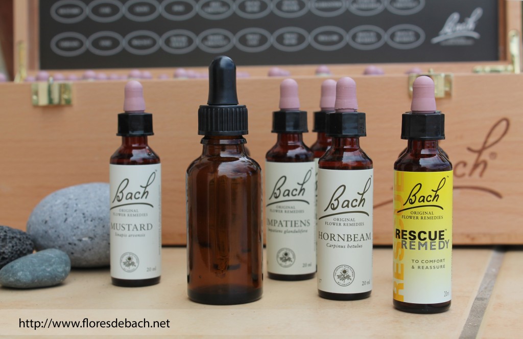 Flores de Bach para Mascotas