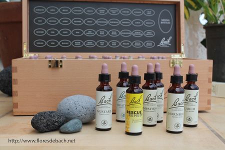 flores de bach para niños