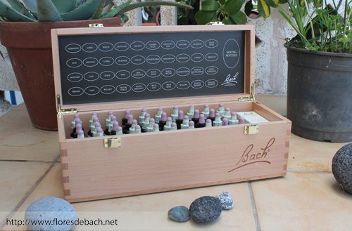 caja con la coleccion completa de las flores de bach